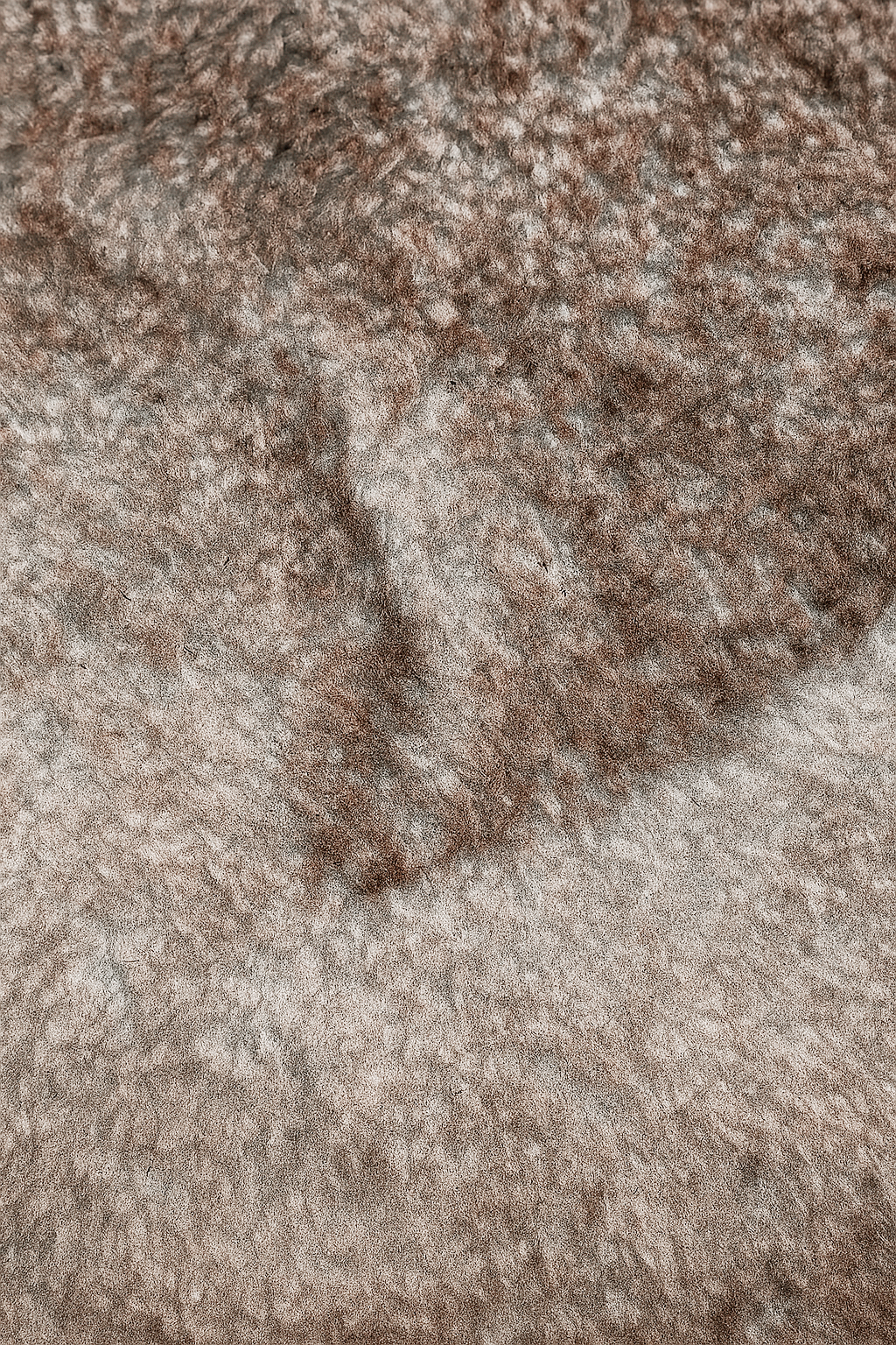 Alfombra Ogata 180x240