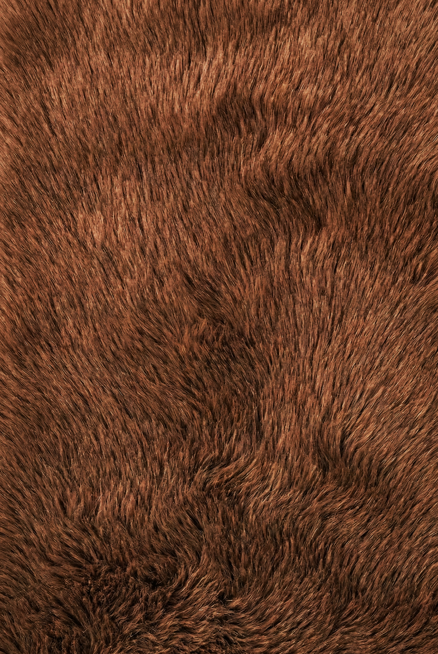 Alfombra Liso 80x160cm