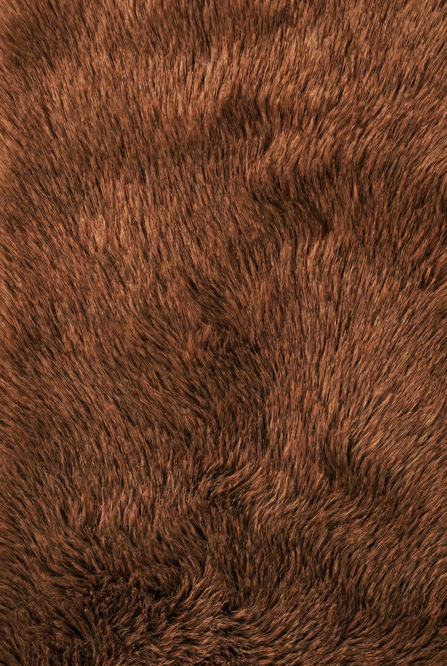 Alfombra Liso 80x160cm