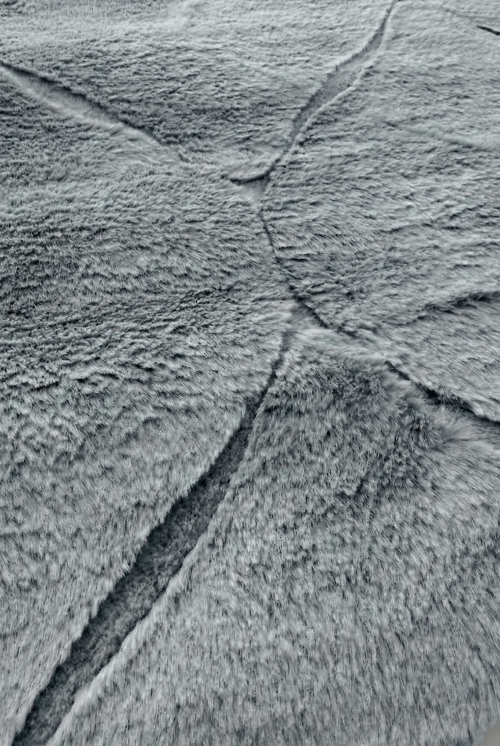 Alfombra Hojas 100x180cm