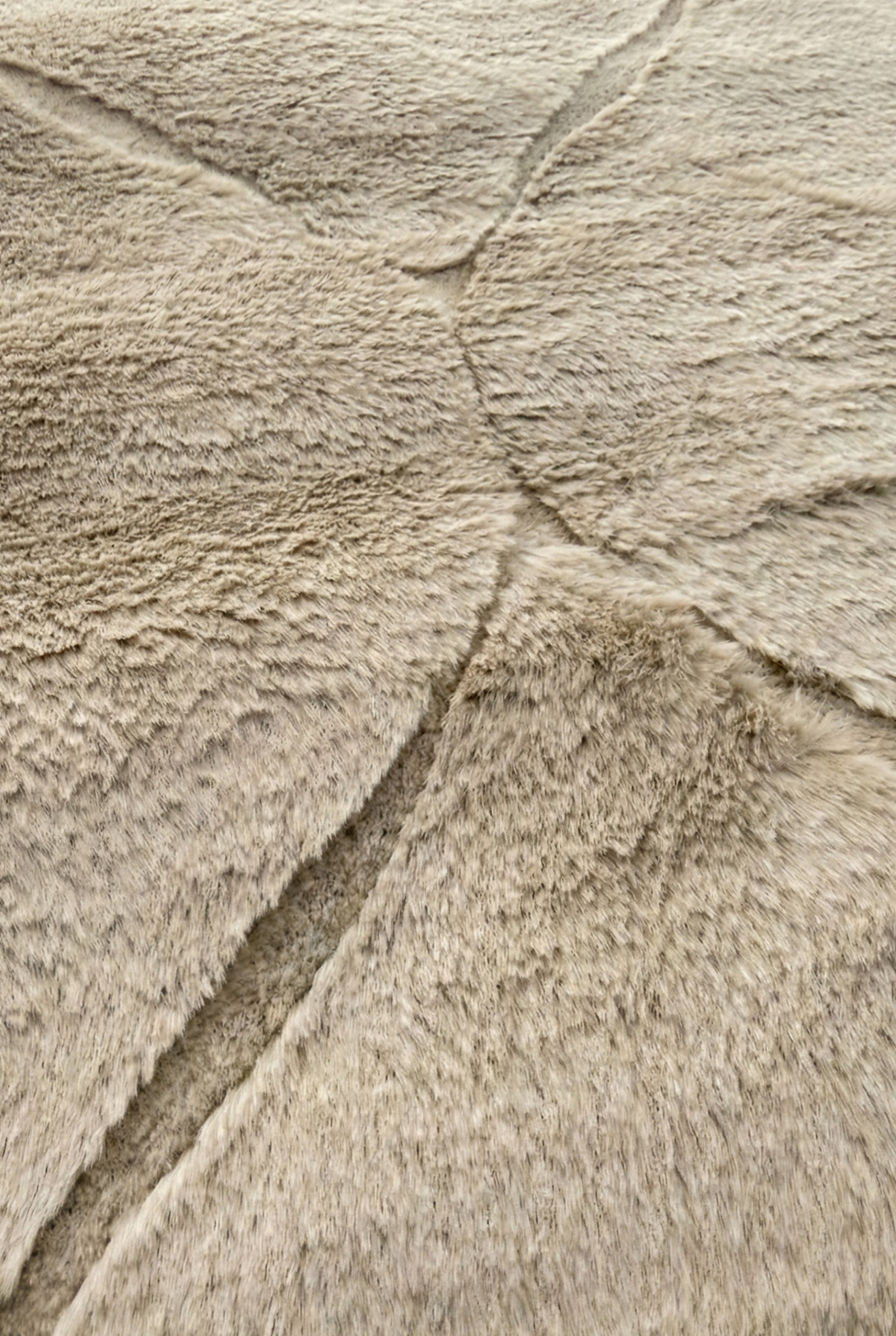 Alfombra Hojas 100x180cm