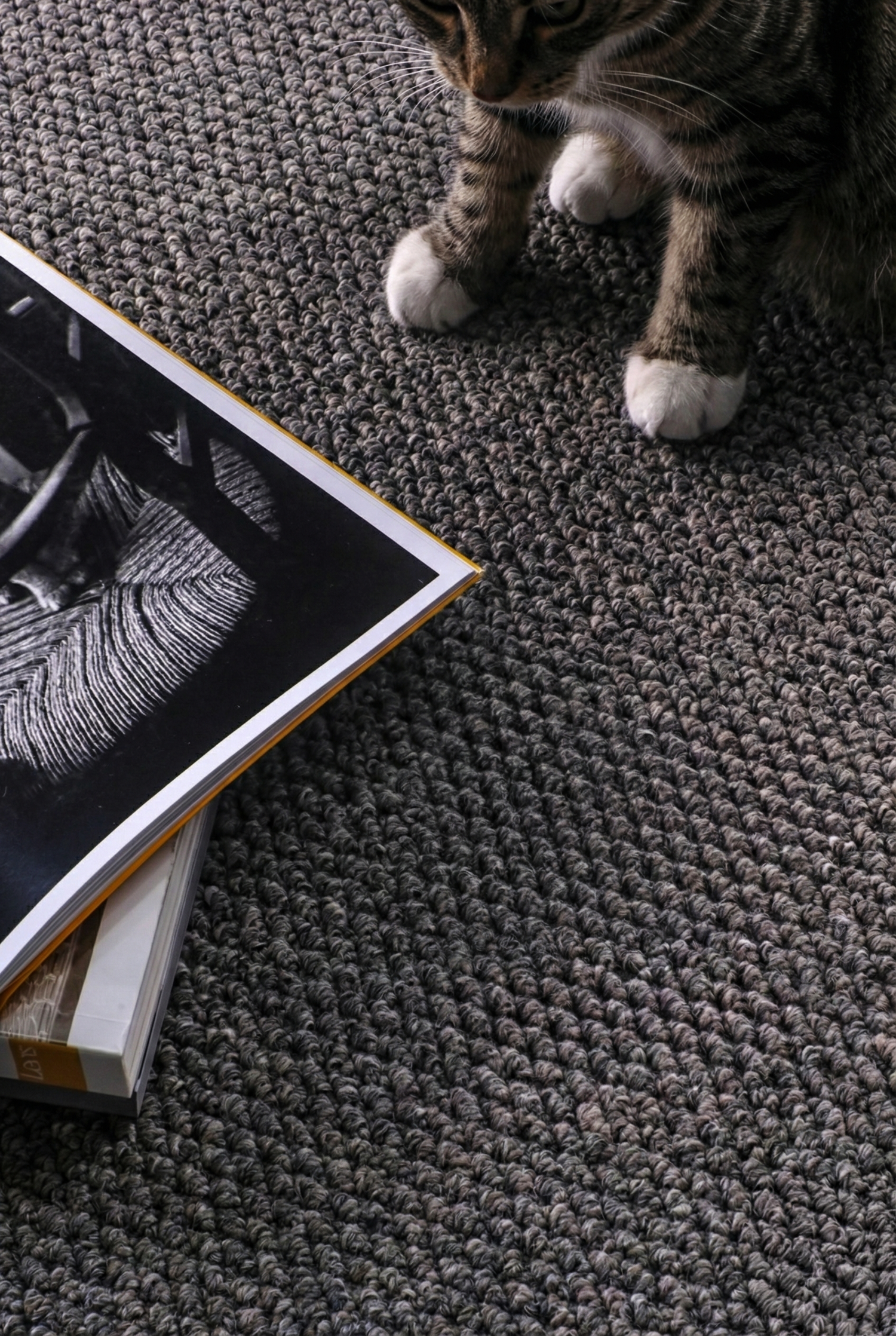 Alfombra Estilo Yute 200x300