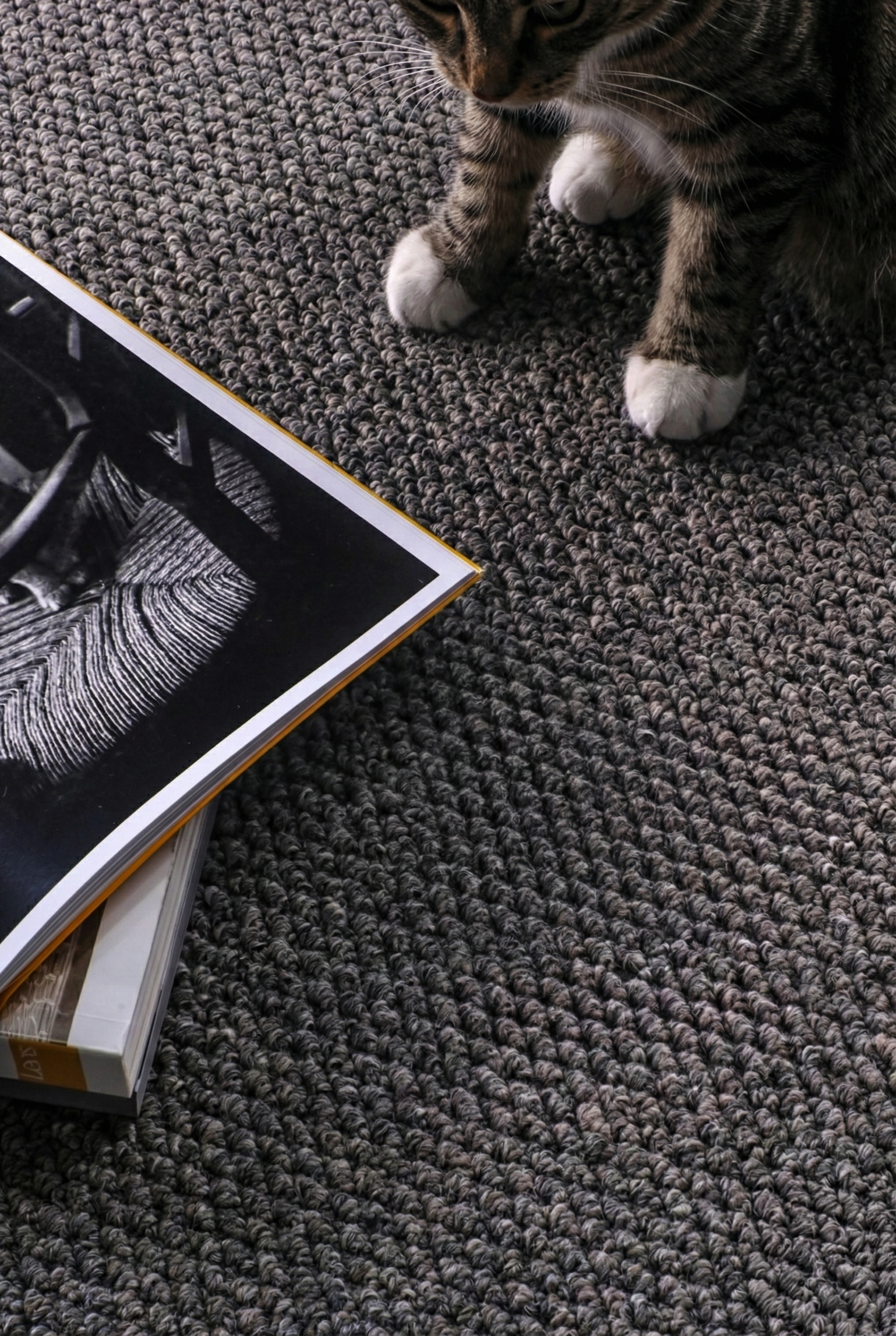 Alfombra Estilo Yute 200x300